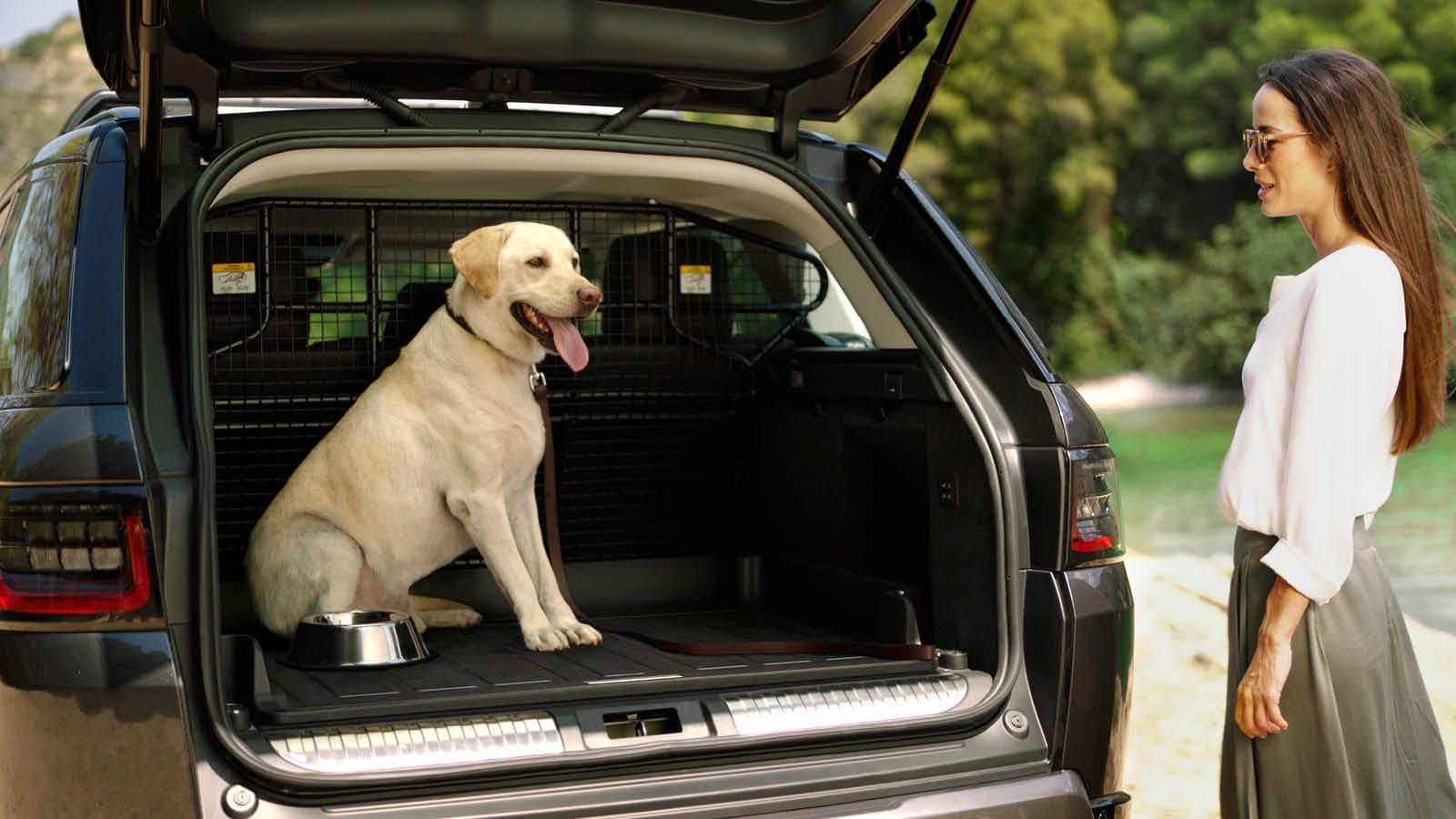 КОГДА ПИТОМЕЦ — ЧЛЕН СЕМЬИ